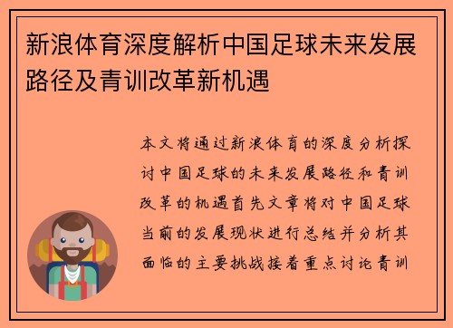 新浪体育深度解析中国足球未来发展路径及青训改革新机遇